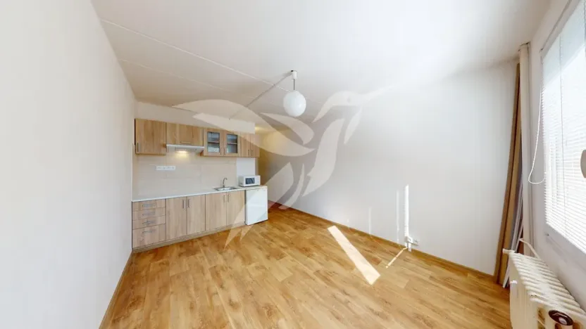 Pronájem bytu 1+kk, Horní Bříza, U Vrbky, 24 m2