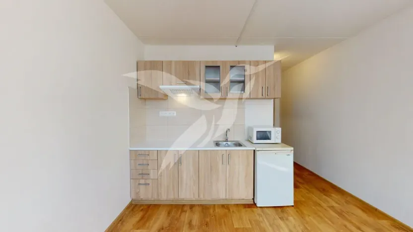 Pronájem bytu 1+kk, Horní Bříza, U Vrbky, 24 m2