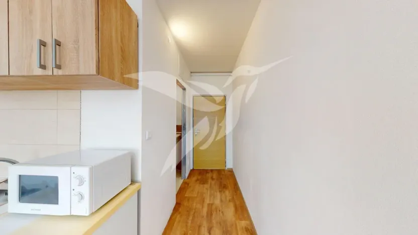 Pronájem bytu 1+kk, Horní Bříza, U Vrbky, 24 m2