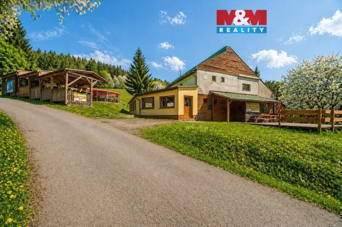 Prodej ubytování, Čenkovice, 297 m2