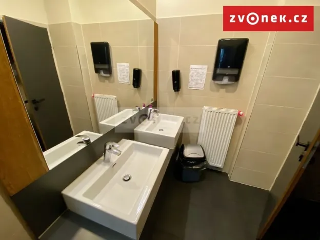 Prodej obchodního prostoru, Holešov, Novosady, 500 m2