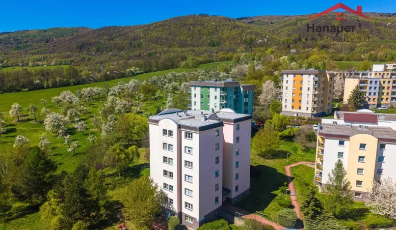 Prodej bytu 3+1, Chlumec, Stradovská, 99 m2