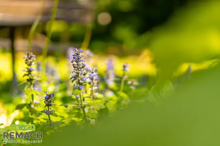 Prodej chaty, Břestek, 71 m2