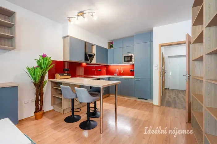 Pronájem bytu 2+kk, Praha - Libeň, Davídkova, 57 m2