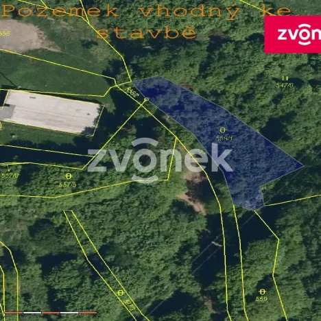 Prodej lesa, Vsetín - Rokytnice, 4429 m2