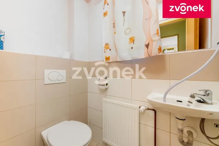 Prodej rodinného domu, Velké Karlovice, 250 m2