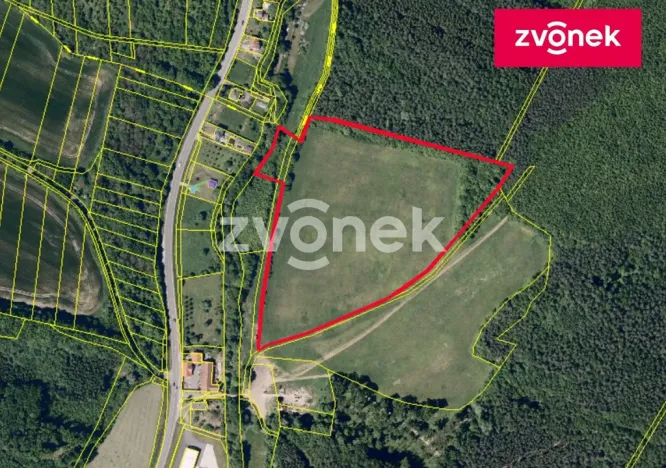 Prodej louky, Šarovy, 44190 m2