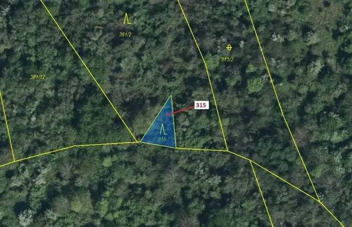 Dražba lesa, Podhořany u Ronova, 129 m2