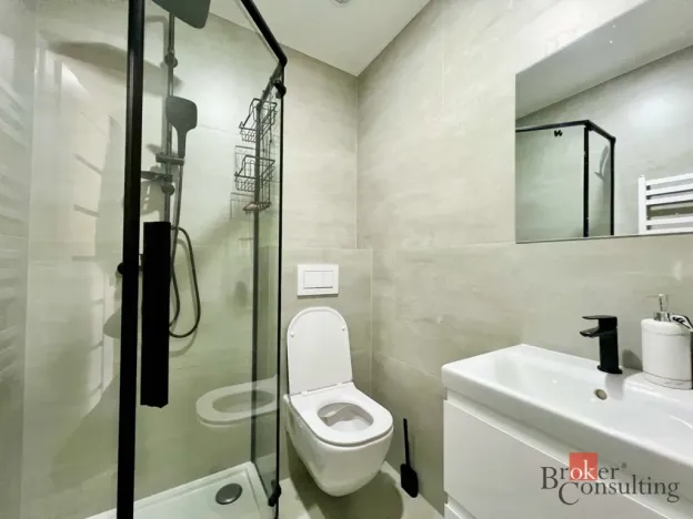 Pronájem bytu 2+1, Opava - Město, Kolářská, 65 m2