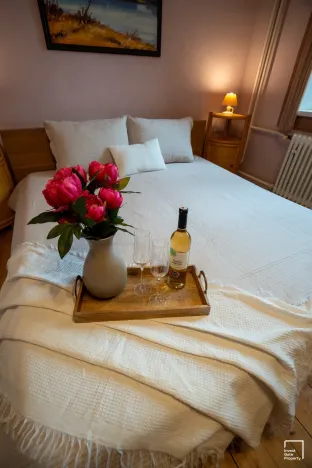 Prodej ubytování, Třeboň - Třeboň II, Hliník, 334 m2