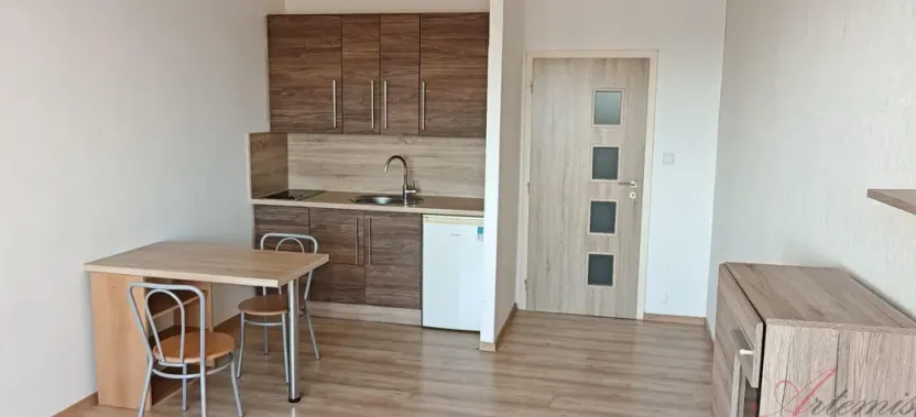 Pronájem bytu 1+kk, Ostrava - Moravská Ostrava, Lechowiczova, 30 m2