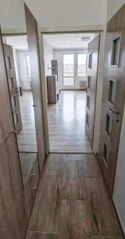 Pronájem bytu 1+kk, Ostrava - Moravská Ostrava, Lechowiczova, 30 m2