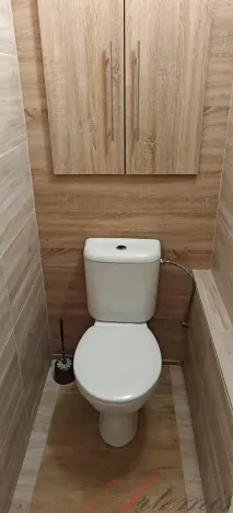 Pronájem bytu 1+kk, Ostrava - Moravská Ostrava, Lechowiczova, 30 m2