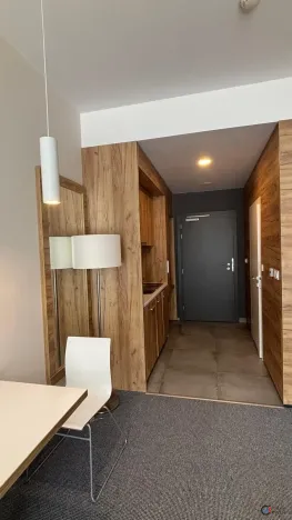 Prodej apartmánu, Dolní Morava, 28 m2