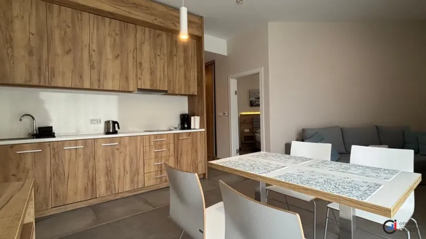Prodej apartmánu, Dolní Morava, 44 m2