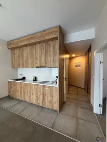 Prodej apartmánu, Dolní Morava, 44 m2