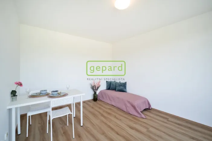 Pronájem bytu 1+kk, Praha, Hartigova, 28 m2