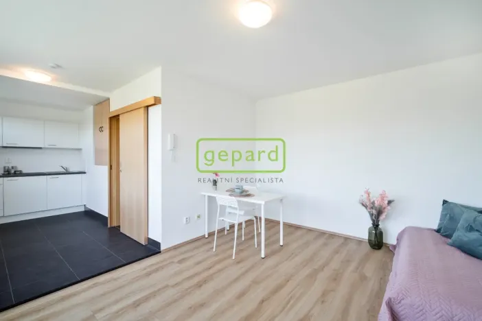 Pronájem bytu 1+kk, Praha, Hartigova, 28 m2