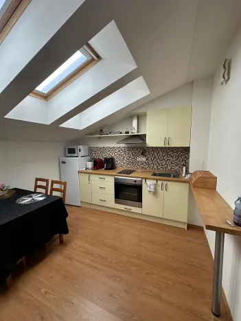 Pronájem bytu 1+kk, Slapy, 31 m2