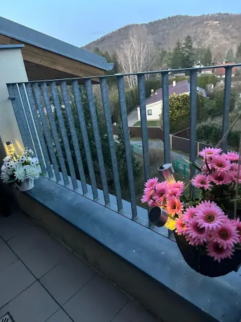 Pronájem bytu 1+kk, Slapy, 31 m2