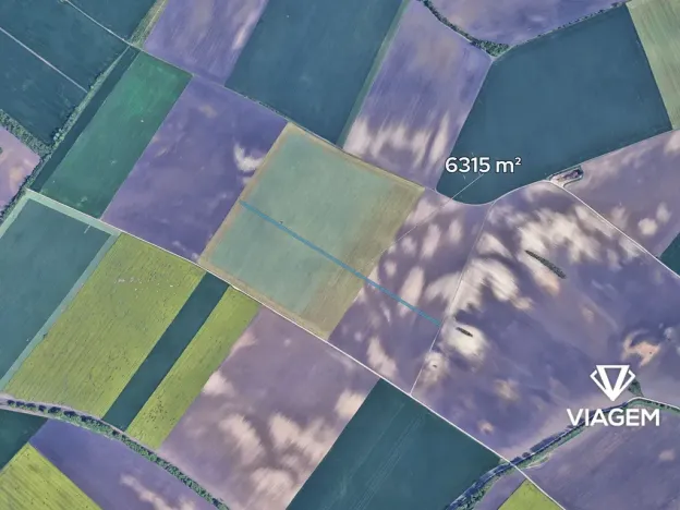 Prodej podílu pole, Šitbořice, 1052 m2