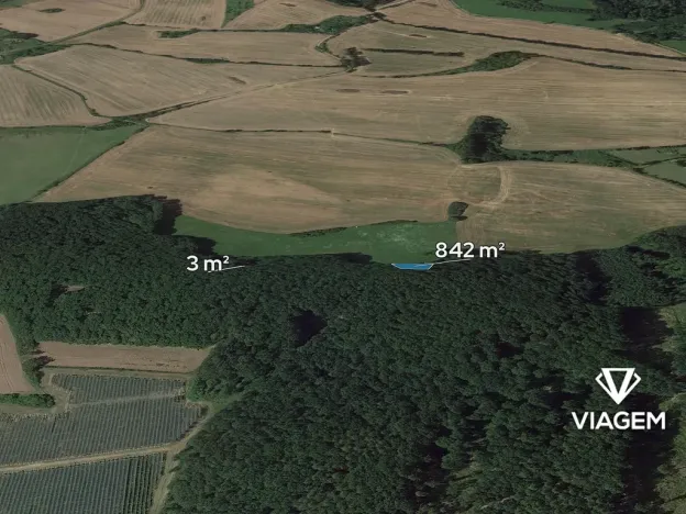 Prodej lesa, Dolní Bousov, 845 m2