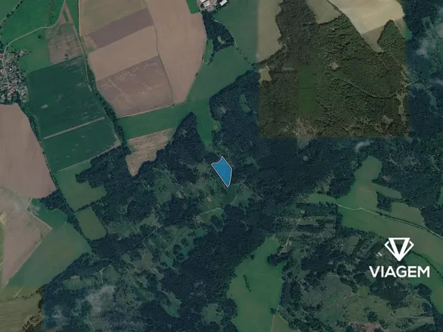 Prodej lesa, Hradiště, 10326 m2