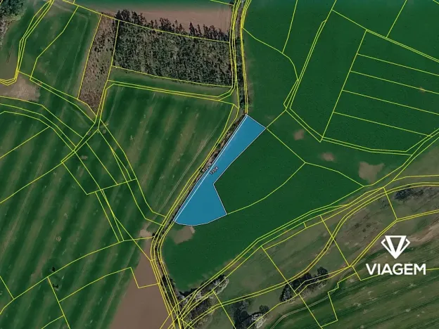 Prodej pole, Živanice, 6248 m2