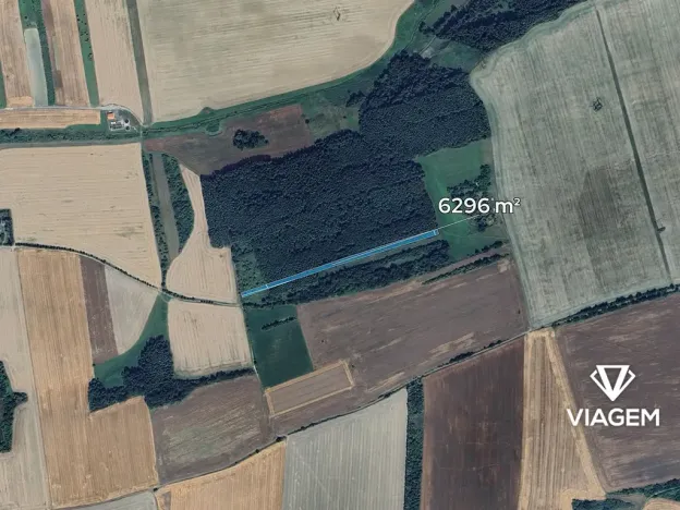 Prodej podílu lesa, Nové Strašecí, 3148 m2
