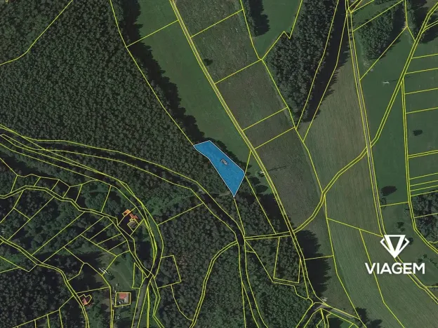 Prodej lesa, Loužnice, 2217 m2