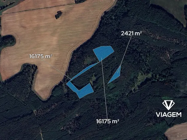 Prodej podílu lesa, Libovice, 2324 m2