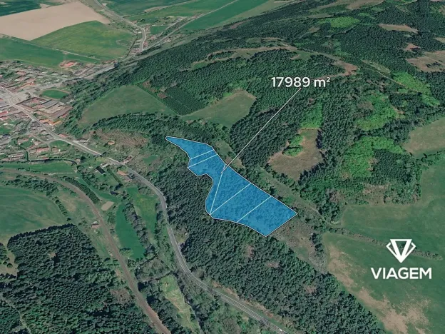 Prodej podílu lesa, Kolinec, 5621 m2