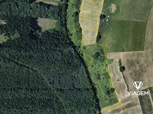 Prodej lesa, Komárov, 745 m2