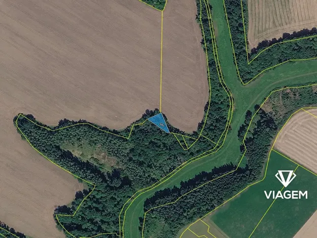 Prodej lesa, Lobeč, 766 m2