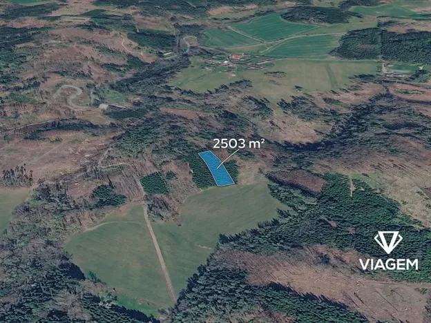 Prodej podílu lesa, Chotěboř, 834 m2