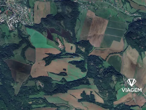 Prodej lesa, Rozstání, 2096 m2