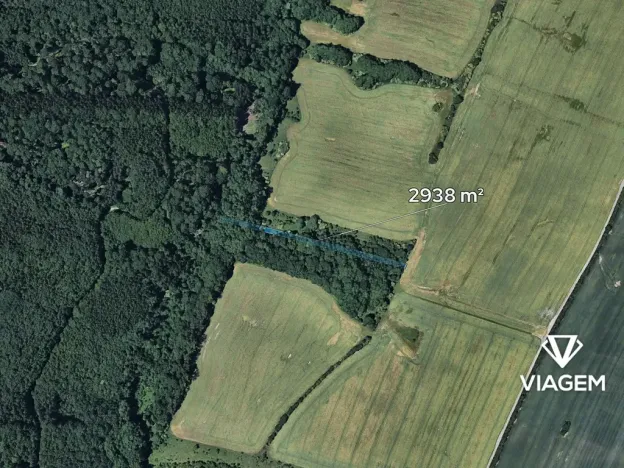 Prodej lesa, Šarovy, 2938 m2