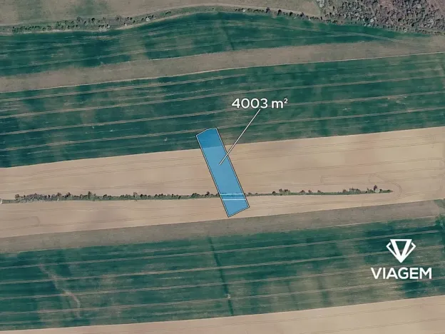 Prodej podílu pole, Boršice, 400 m2