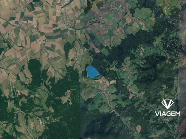 Prodej podílu lesa, Korytná, 46160 m2