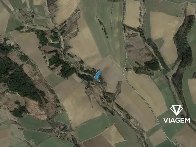 Prodej lesa, Buřenice, 5732 m2