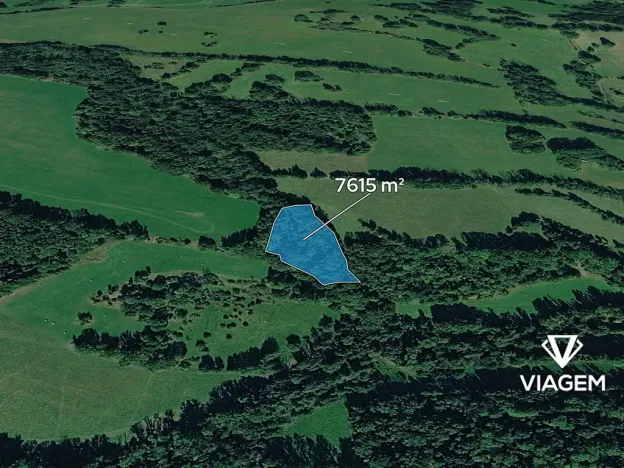 Prodej podílu lesa, Heřmanov, 2538 m2