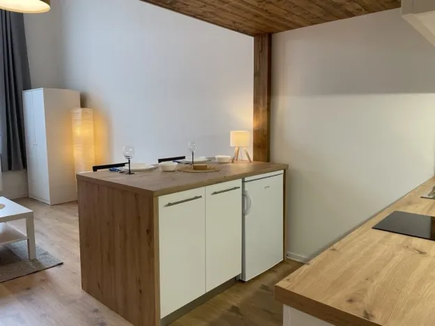 Pronájem bytu 1+kk, Ostrava - Přívoz, Palackého, 27 m2