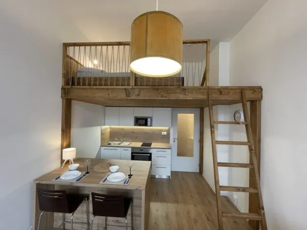Pronájem bytu 1+kk, Ostrava - Přívoz, Palackého, 27 m2