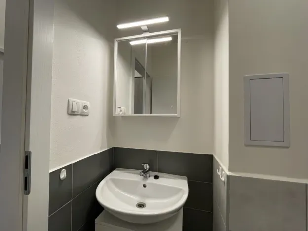 Pronájem bytu 1+kk, Ostrava - Přívoz, Palackého, 27 m2