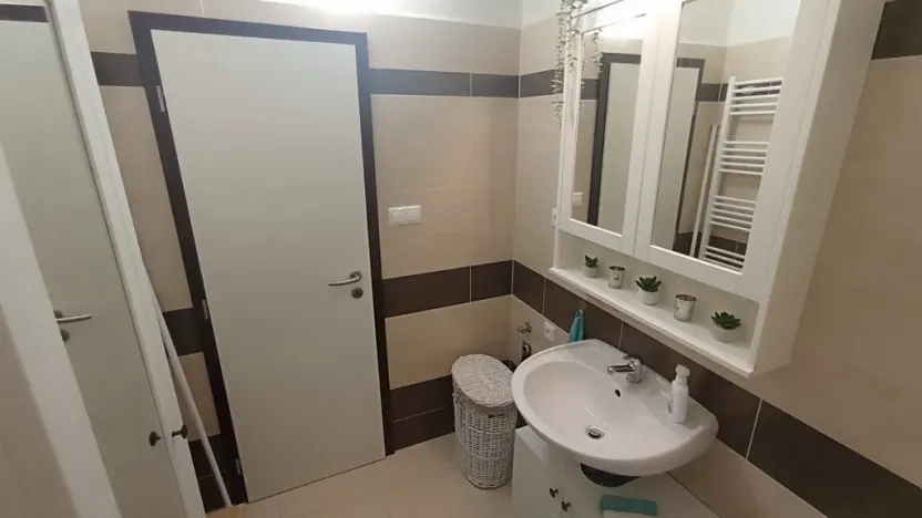Pronájem bytu 3+kk, České Budějovice - České Budějovice 3, Riegrova, 70 m2