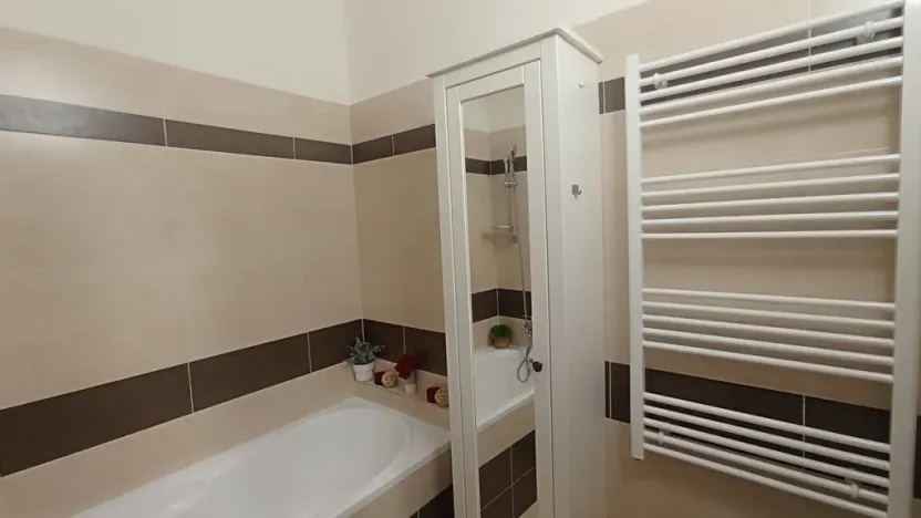 Pronájem bytu 3+kk, České Budějovice - České Budějovice 3, Riegrova, 70 m2