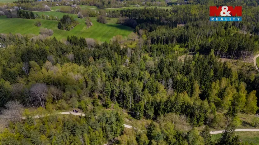 Prodej lesa, Železný Brod, 11203 m2