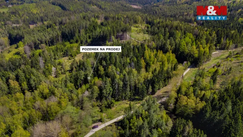Prodej lesa, Železný Brod, 11203 m2