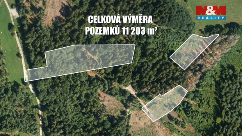 Prodej lesa, Železný Brod, 11203 m2
