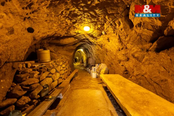 Prodej rodinného domu, Křepice, 183 m2